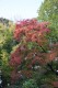 2540?width=100&height=80&name=acer-mands