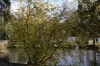 2542?width=100&height=80&name=acer-negun