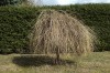 3077?width=100&height=80&name=larix-deci