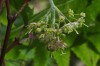 3400?width=100&height=80&name=acer-japon