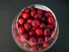 4280?width=100&height=80&name=vaccinium-